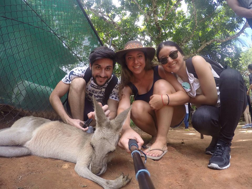 Best Semester Abroad students day trip in Cairns (4)